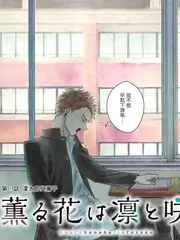 红日音乐会
